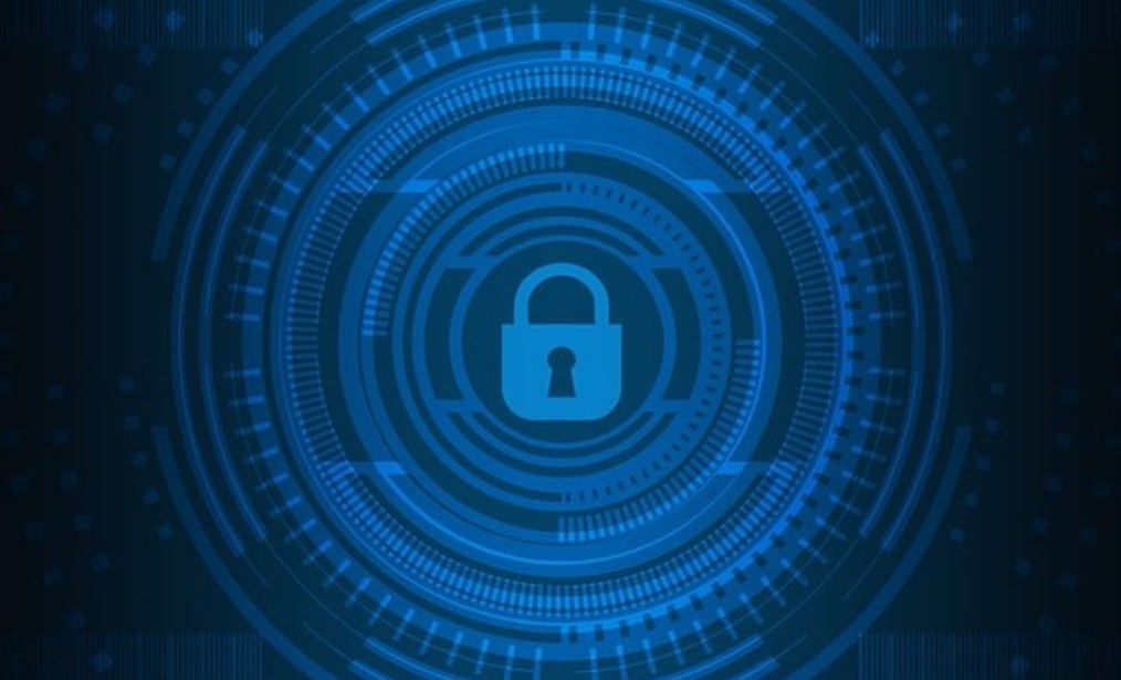 Afbeelding ter illustratie | Immutable back-up